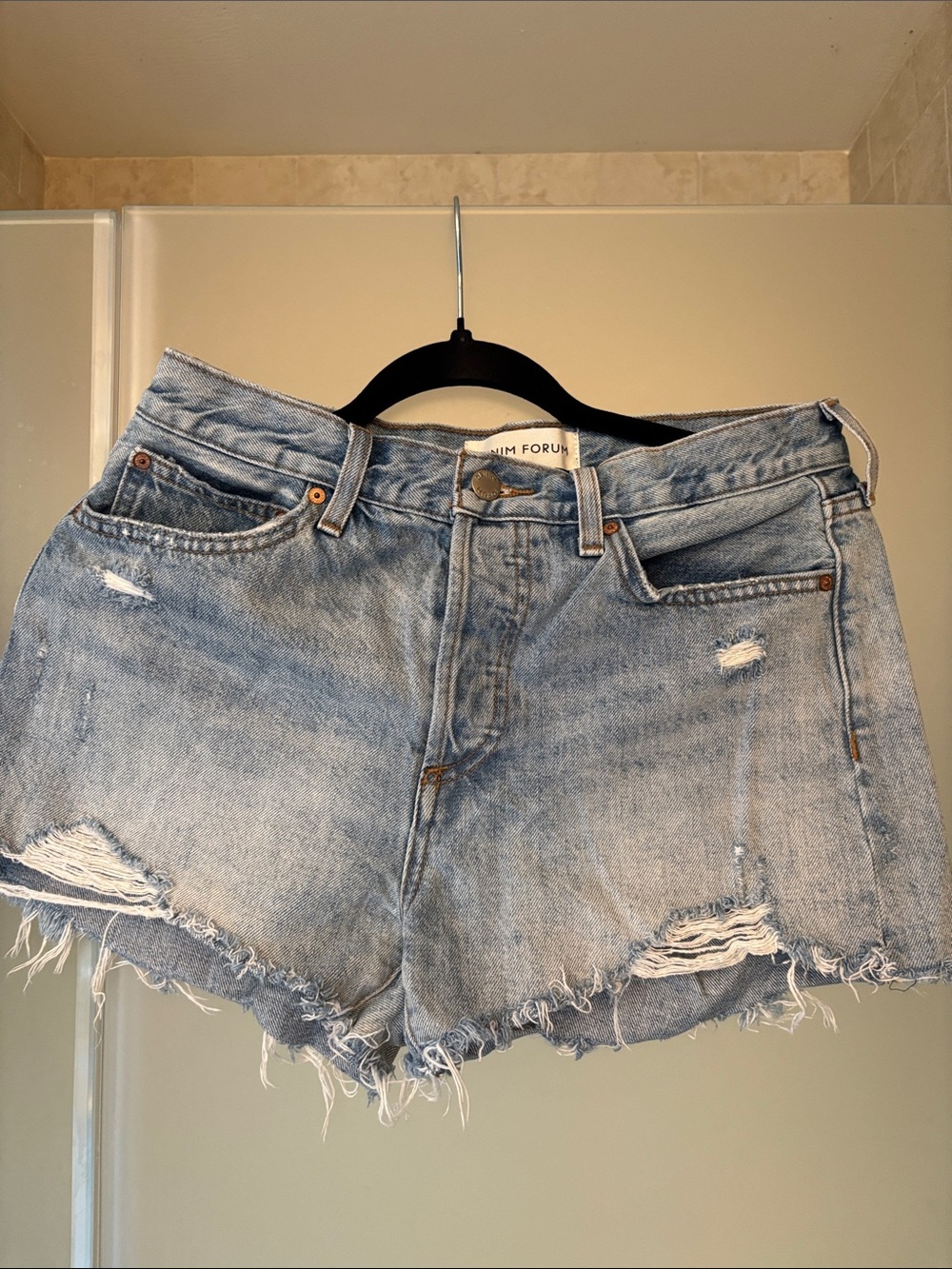 Aritzia  Denim Forum Light Blue Ripped High-Rise Jean Shorts